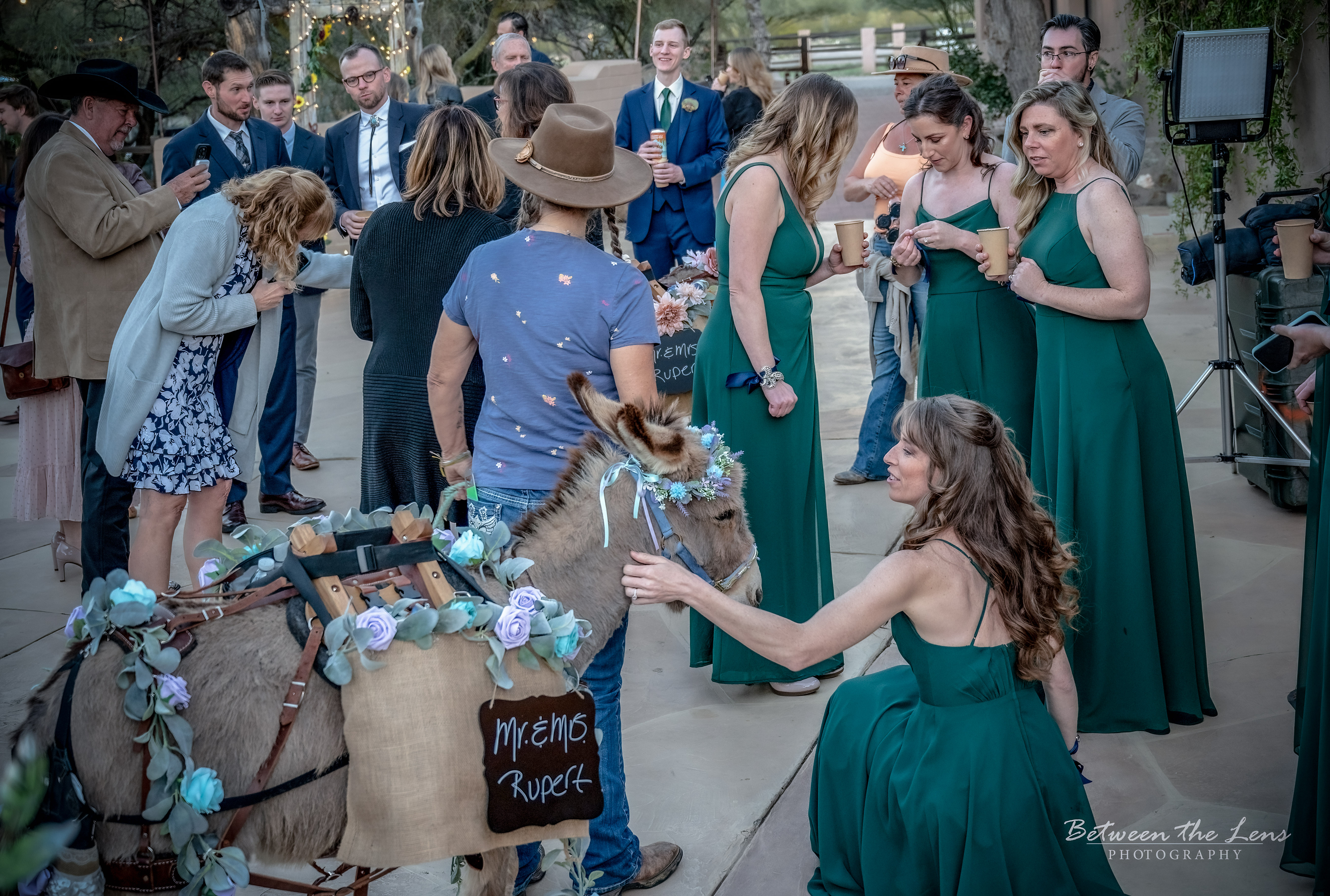 Cute Mule with Bridesmaids